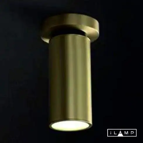 Спот iLamp Plum 8861C BR-BK