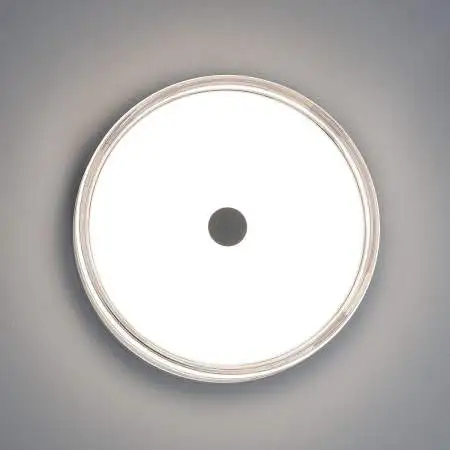 Накладной светильник Citilux Dixon CL747230V