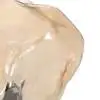 Настольная лампа Citilux Rocka CL247088