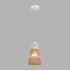 Подвесной светильник Lumion Boho Eco 8367/1B