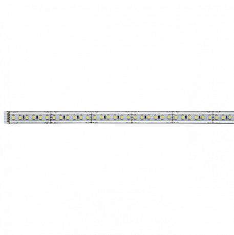 Светодиодная лента Paulmann 0,5M холодный белый 6W 70660
