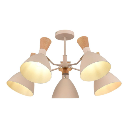 Потолочная люстра Evoluce Vista SLE1256-502-05