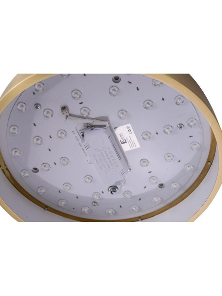 Потолочный светодиодный светильник Zortes Monna ZRS.1209.10