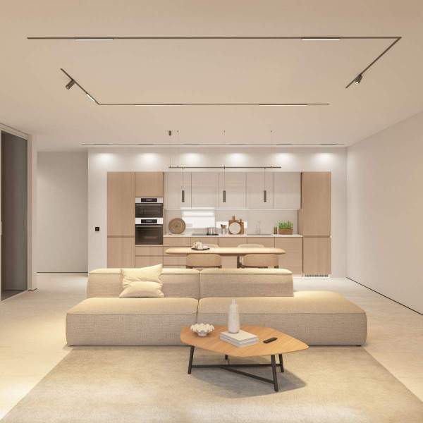 Трековый светодиодный светильник Denkirs Shine Spot Zigbee DK5944-DN