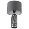 Настольная лампа Lumion Moderni 8146/1T