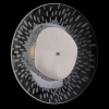 Бра Crystal Lux CONTESSA AP2.1