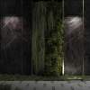 Уличный настенный светодиодный светильник Odeon Light Nature Graze 7040/14WL