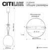 Подвесной светильник Citilux Fernet CL254410