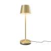 Настольная аккумуляторная лампа Maytoni Modern Nook MOD494RL-L1BSK