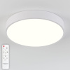 Потолочный светодиодный светильник Natali Kovaltseva LED LAMPS 81111/5C