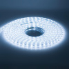 Светодиодная влагозащищенная лента OGM 4,8W/m 60LED/m 5050SMD холодный белый 5M SL-04