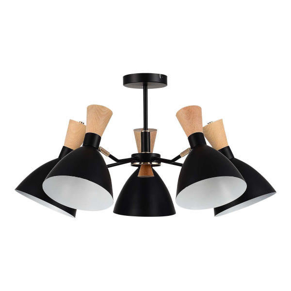 Потолочная люстра Evoluce Vista SLE1256-402-05