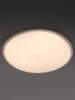 Светильник потолочный светодиодный Rivoli Eliana 6178-702 LED 3000K-6500k 80 Вт с пультом Б0069797