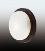 Потолочный светильник Odeon Light Drops Holger 2744/1C