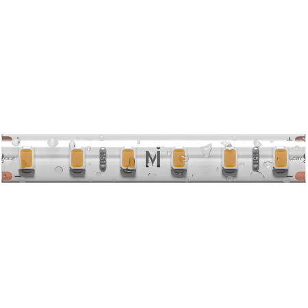 Светодиодная влагозащищенная лента Maytoni 9,6W/m 120LED/m 2835SMD теплый белый 5M 201042
