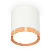 Комплект накладного светильника Ambrella light Techno Spot XS (C8141, N8126) XS8141005
