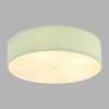 Потолочный светильник Lumion Gofera Moderni 8326/5