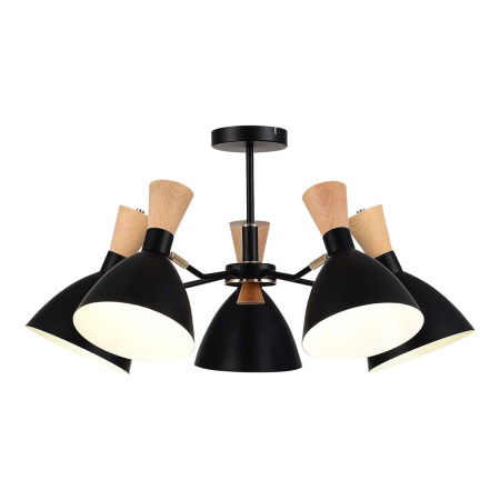 Потолочная люстра Evoluce Vista SLE1256-402-05