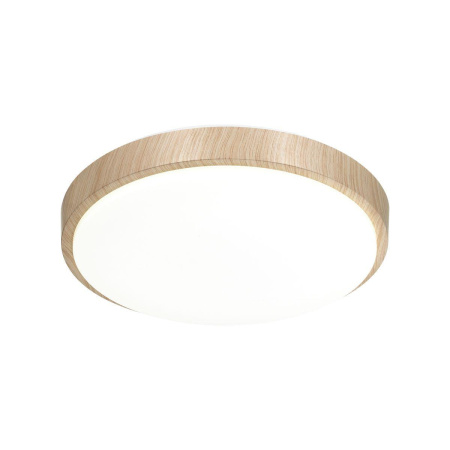 Настенно-потолочный светодиодный светильник Sonex Losta 7607/DL