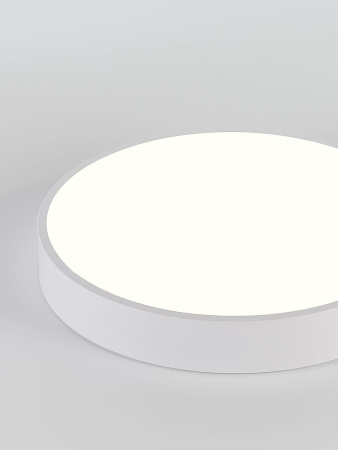 Потолочный светодиодный светильник Natali Kovaltseva LED LAMPS 81111/5C