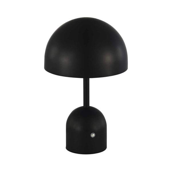 Настольная лампа Evoluce SLE1806-404-01