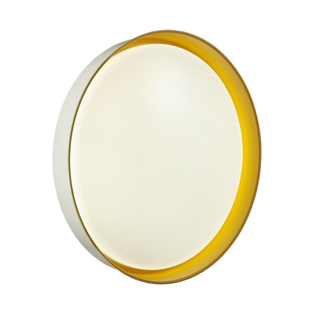 Настенно-потолочный светодиодный светильник Sonex Color Tuna Yellow 7711/DL