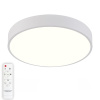 Потолочный светодиодный светильник Natali Kovaltseva LED LAMPS 81111/5C