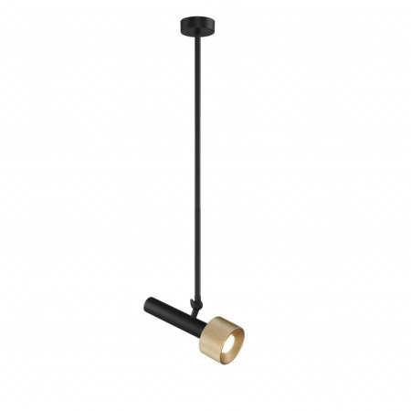 Подвесной светильник iLedex Delta 2361-1 BK+BR