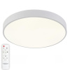 Потолочный светодиодный светильник Natali Kovaltseva LED LAMPS 81112/5C