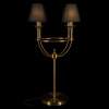 Настольная лампа Loft it Lattice 10435T