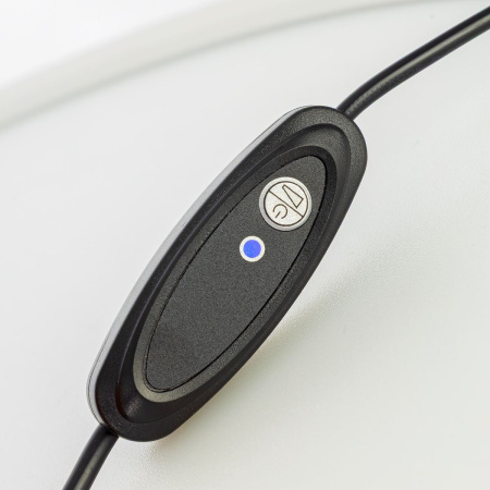 Настольная лампа Citilux Lina CL812010