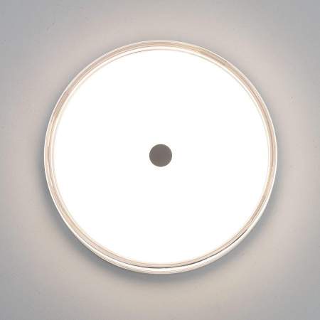 Накладной светильник Citilux Dixon CL747300V