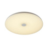 Потолочный светодиодный светильник Sonex Vasta led Roki muzcolor 4629/EL