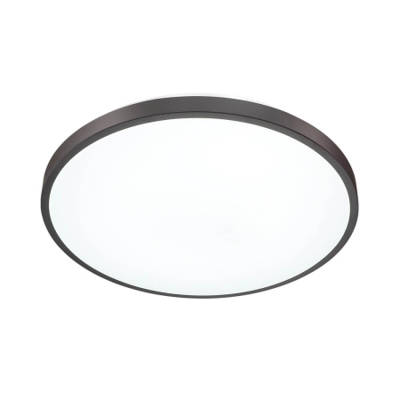 Настенно-потолочный светильник Sonex Tan Smalli 3012/DL