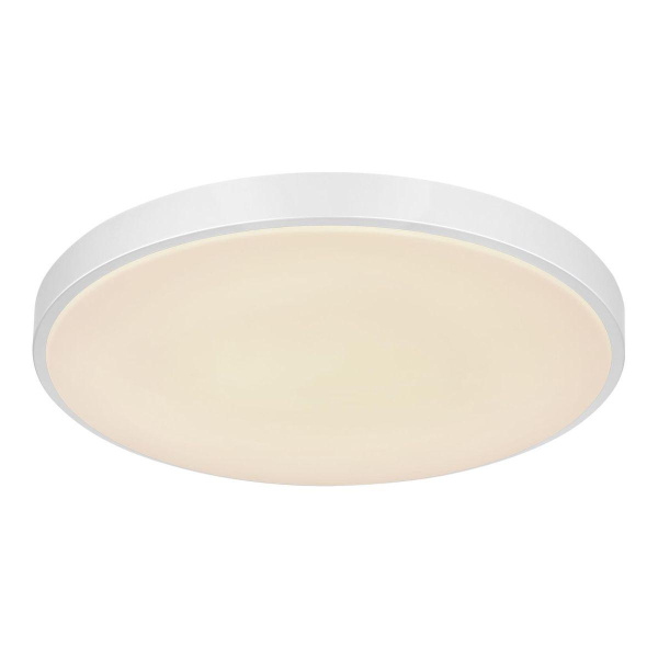 Потолочный светодиодный светильник Globo Sonny 41586-24