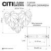 Бра Citilux Dryad CL305330