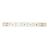Светодиодная влагозащищенная лента DesignLed 14,4W/m 60LED/m 5050SMD нейтральный белый 5M 002378