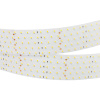 Светодиодная лента Arlight 6W/m 350Led/m 2835SMD холодный белый 2,5M RT-A350-58mm 24V White6000 019082(2)