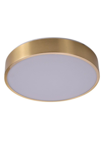 Потолочный светодиодный светильник Zortes Monna ZRS.1209.10