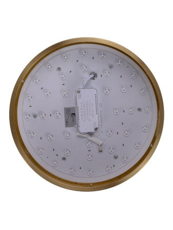 Потолочный светодиодный светильник Zortes Monna ZRS.1209.10