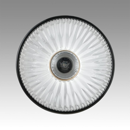 Светильник подвесной Lumion Suspentioni 8053/1A