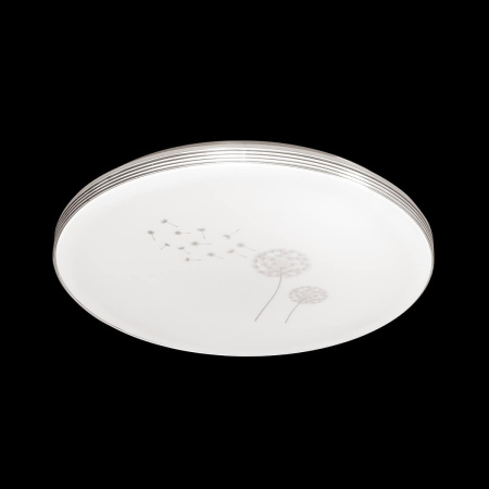 Настенно-потолочный светильник Sonex Airita 3005/EL