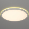 Потолочный светодиодный светильник Citilux Basic Line CL738320EL