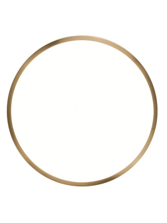 Потолочный светодиодный светильник Zortes Monna ZRS.1209.10