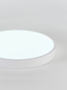 Потолочный светодиодный светильник Natali Kovaltseva LED LAMPS 81112/5C