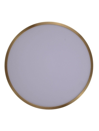 Потолочный светодиодный светильник Zortes Monna ZRS.1209.10