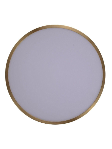 Потолочный светодиодный светильник Zortes Monna ZRS.1209.10