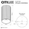 Потолочный светильник Citilux Axel CL512113R
