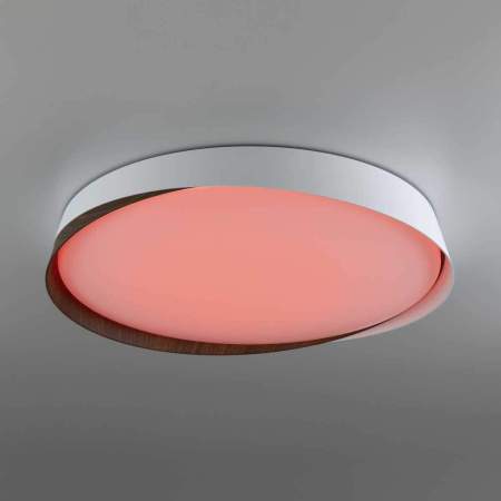 Потолочный светодиодный светильник Citilux Bonny CL754450G