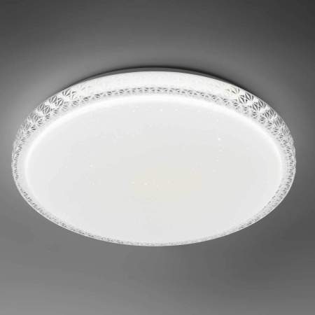 Светильник потолочный светодиодный Rivoli Mystery 6178-201 без пульта 48 Вт 5000K LED Б0069793